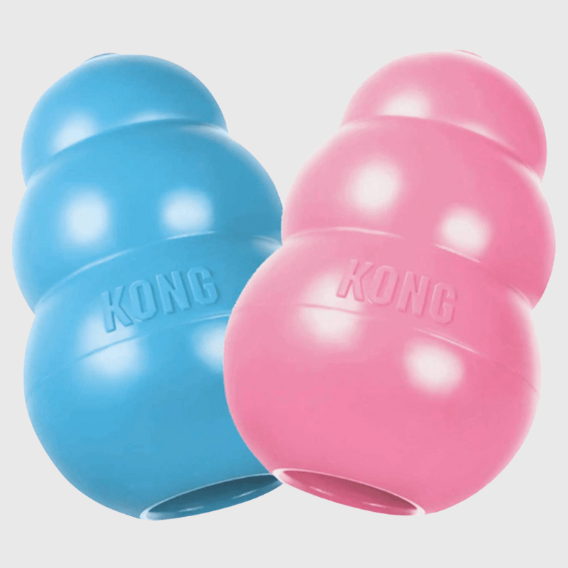 Kong jouet pour chien bleu