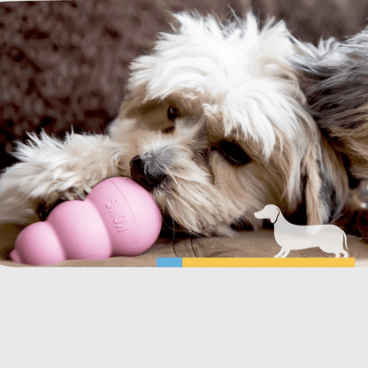 Kong jouet pour chien Rose spitz