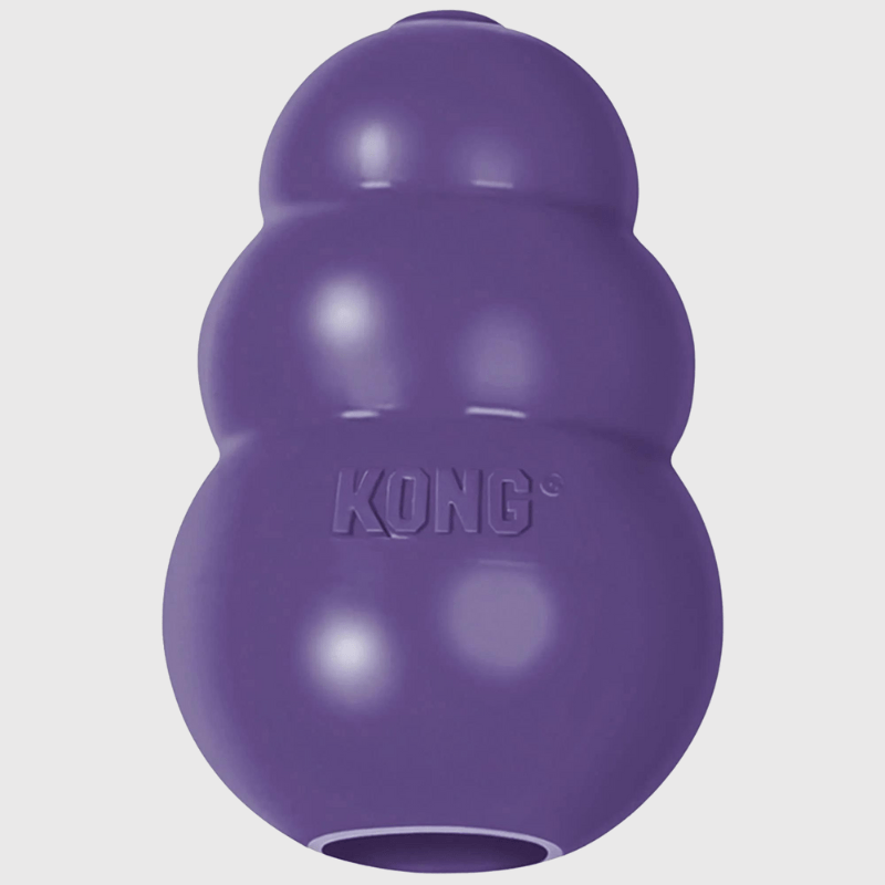 Kong jouet pour chien Violet