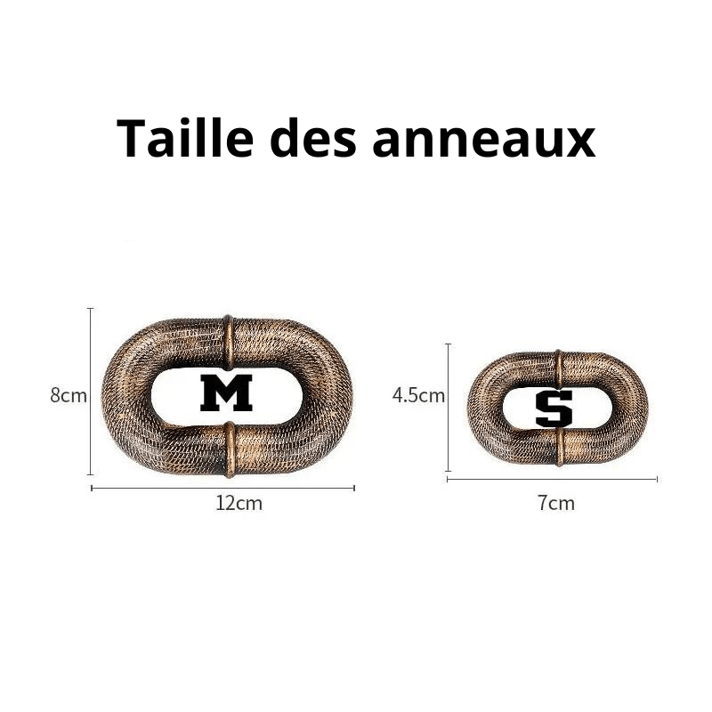 Laisse chien chaine rigolo taille anneaux