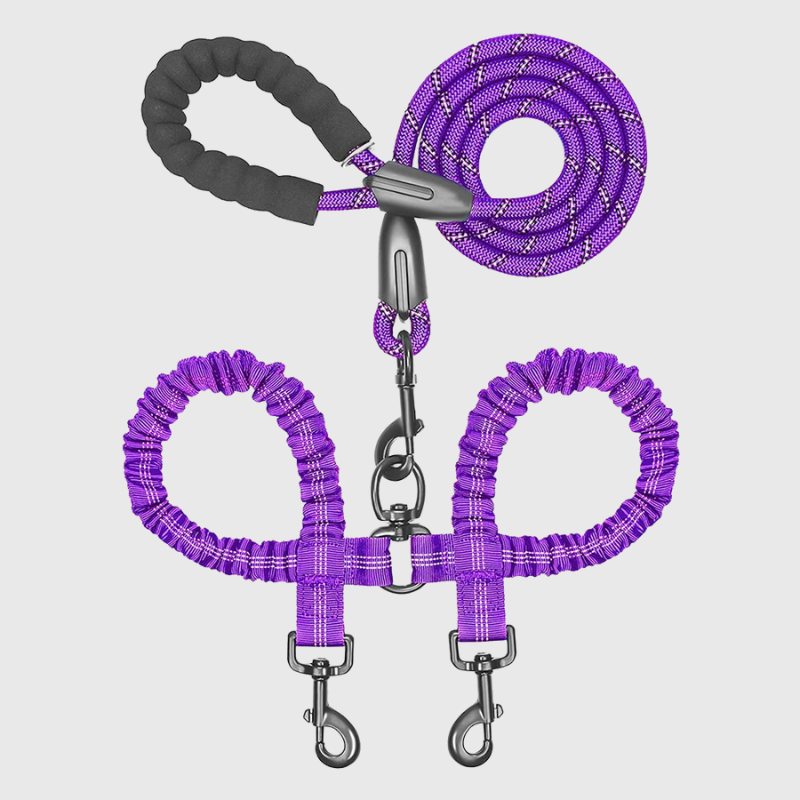 Laisse double pour chien violet