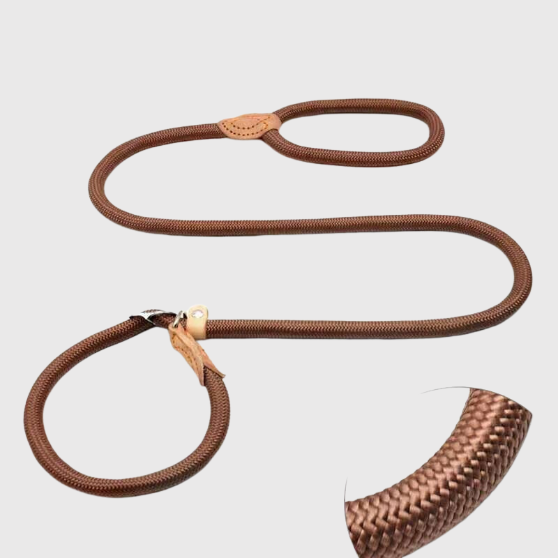 Laisse lasso pour chien cordage