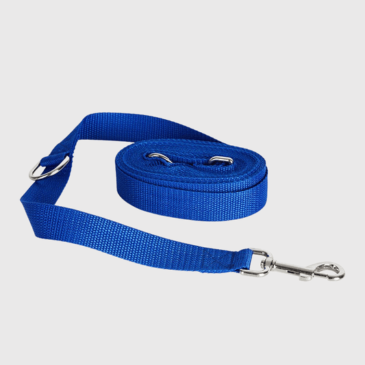 Laisse longe pour chien bleu