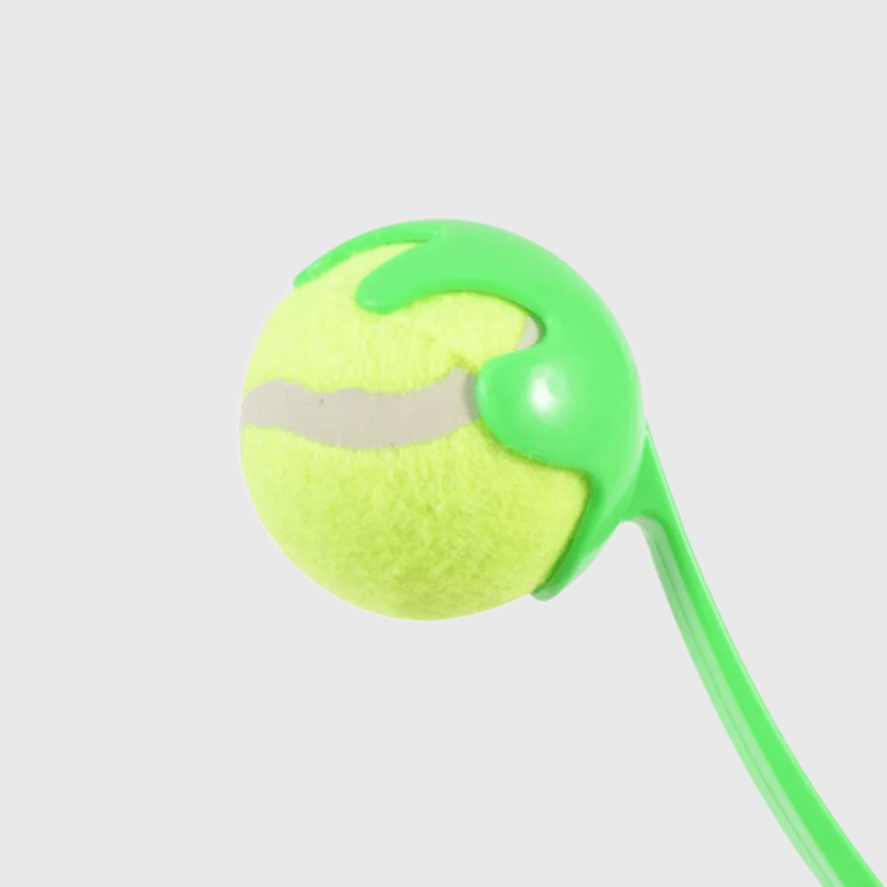 Lanceur de balle pour chien Vert zoom sur la balle