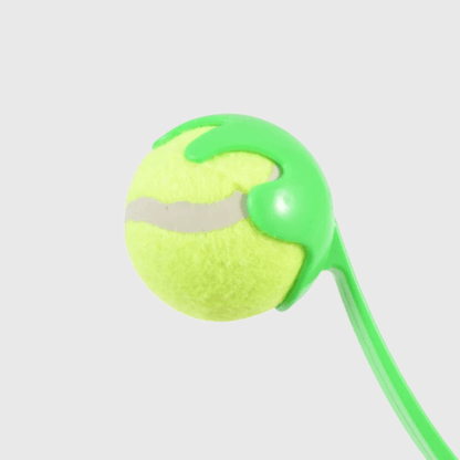 Lanceur de balle pour chien Vert zoom sur la balle