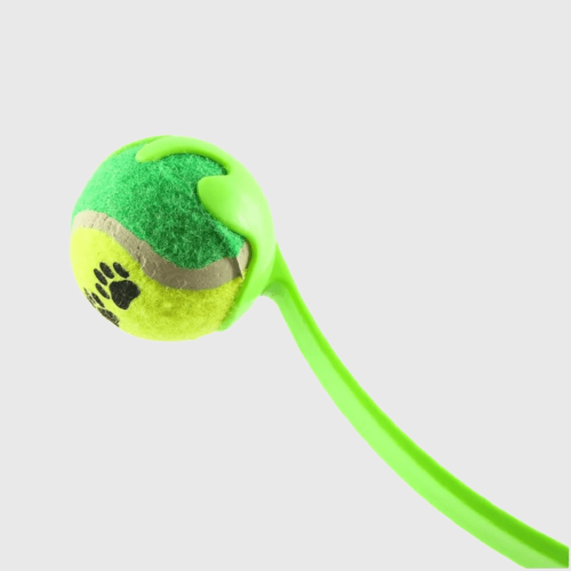Lanceur de balle pour chien vert clai  avec zoom sur la balle