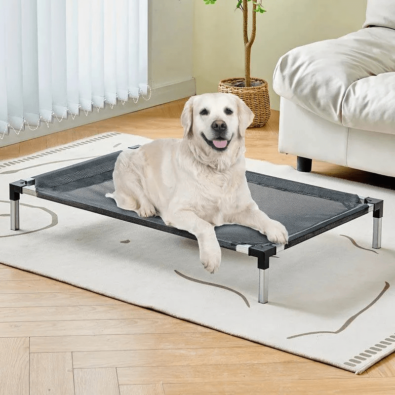 Lit de camp pour chien xxl labrador
