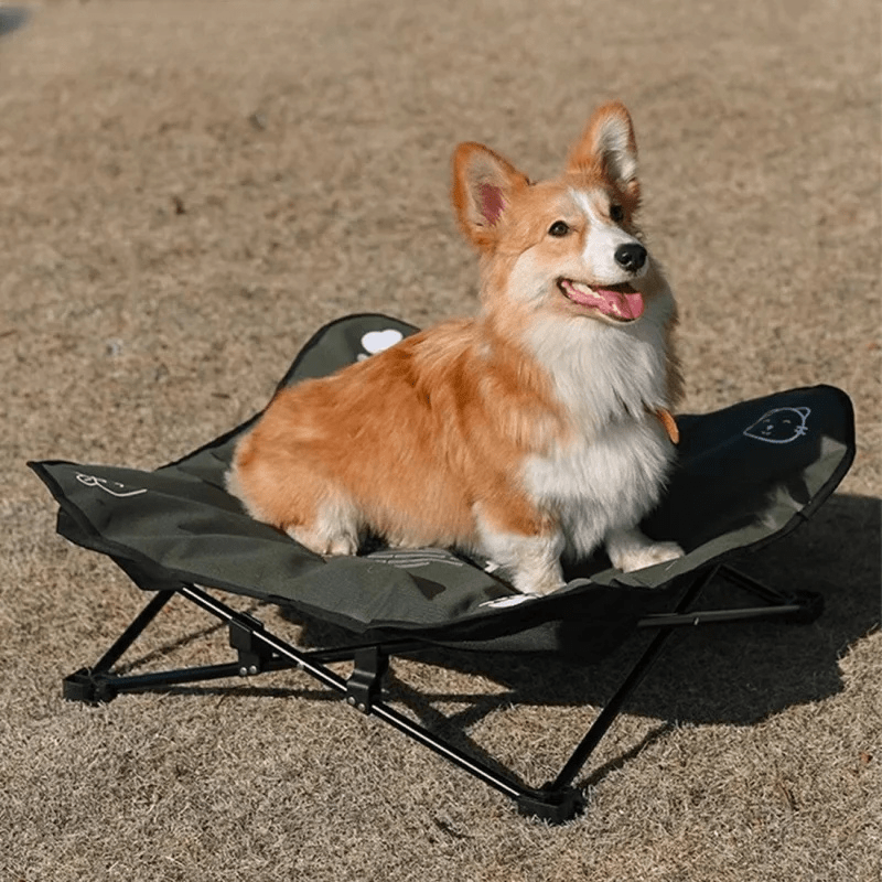 Lit de camp relax pour chien assis