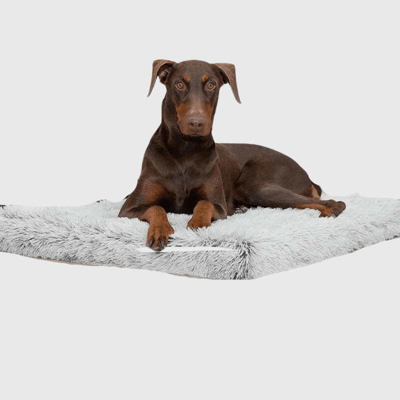 Lit pour grand chien doberman