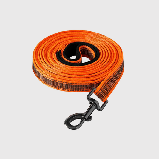 Longe de dressage pour chien orange