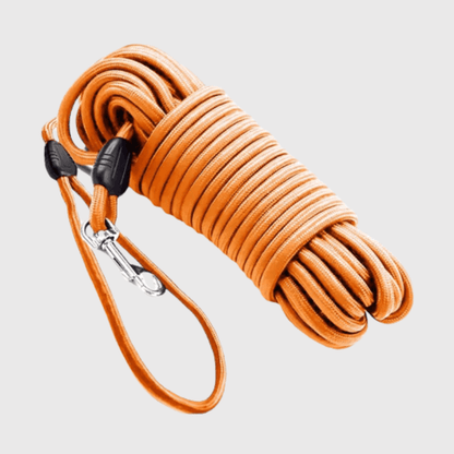 Longe de pistage pour chien orange