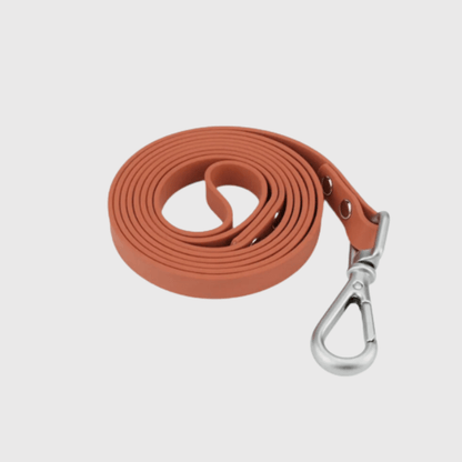 Longe de rappel pour chien 1.5m marron