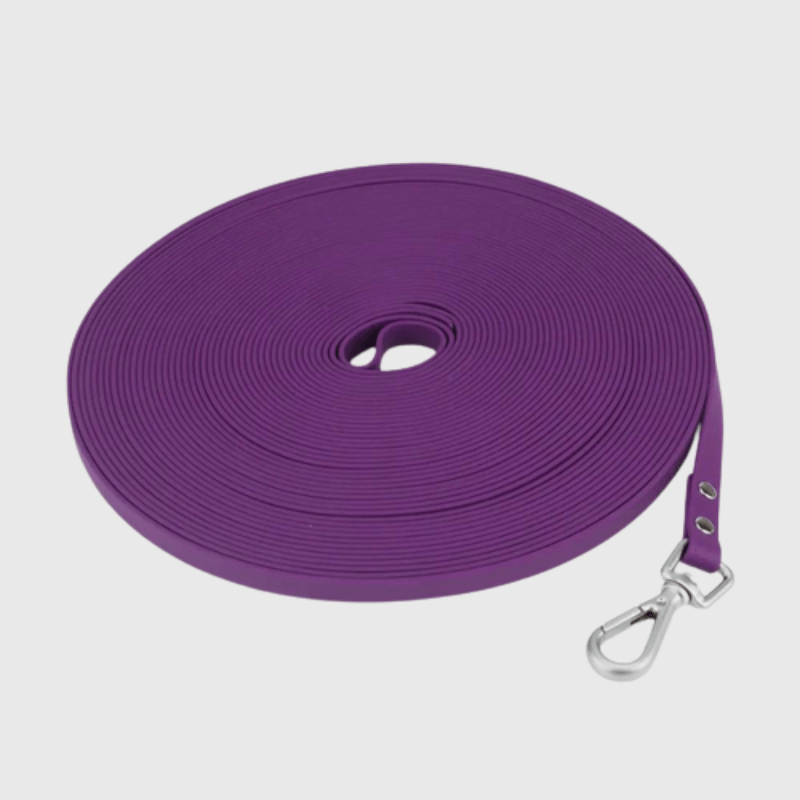 Longe de rappel pour chien 1.5m violet