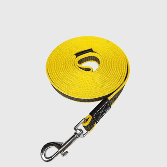 Longe dressage pour chien jaune