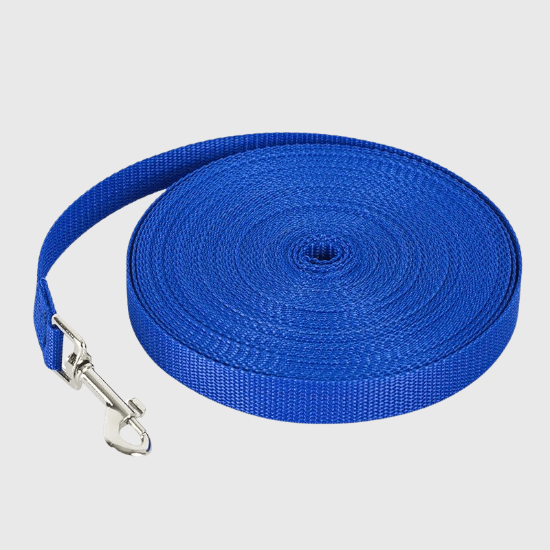 Longe plate pour chien bleu