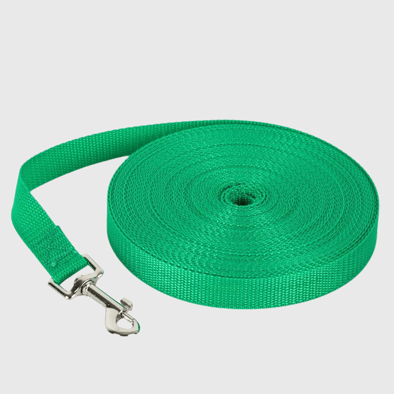 Longe plate pour chien vert