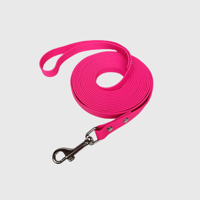 Longe pour gros chien rose violet