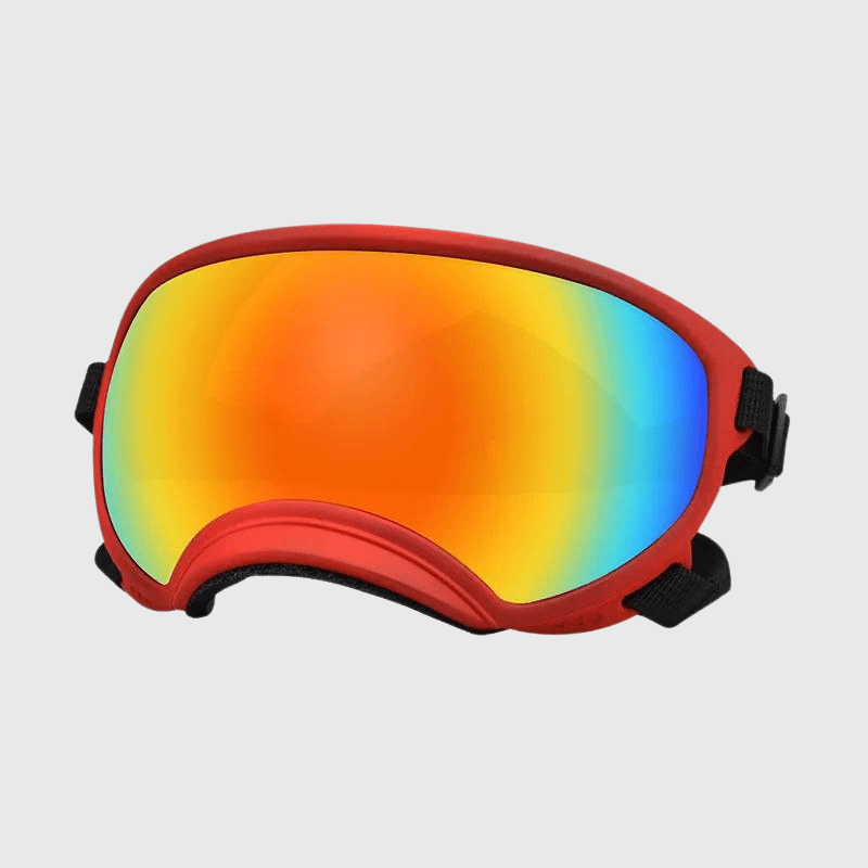 Lunette moto pour chien rouge couleur