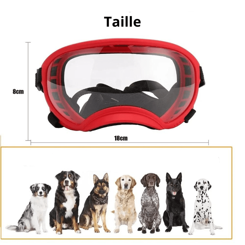 Lunette moto pour chien taille  L