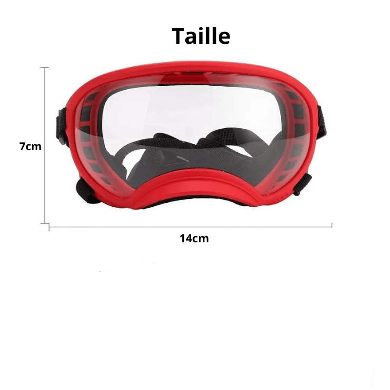 Lunette moto pour chien taille S