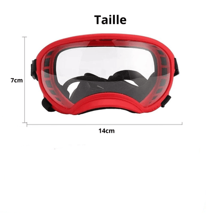 Lunette moto pour chien taille S