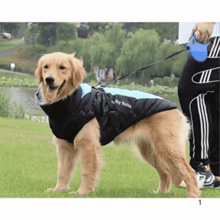 Manteau imperméable pour chien avec harnais intégré : vêtement de protection pratique pour la promenade