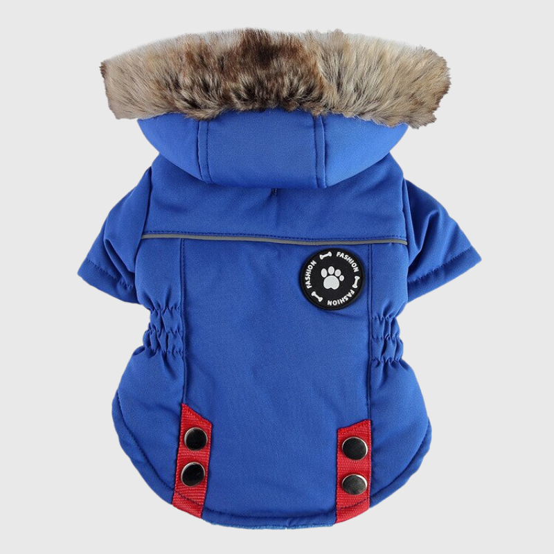 Manteau avec capuche pour chien avec harnais intégré bleu 