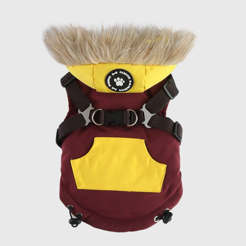 Manteau pour chien avec capuche on sale