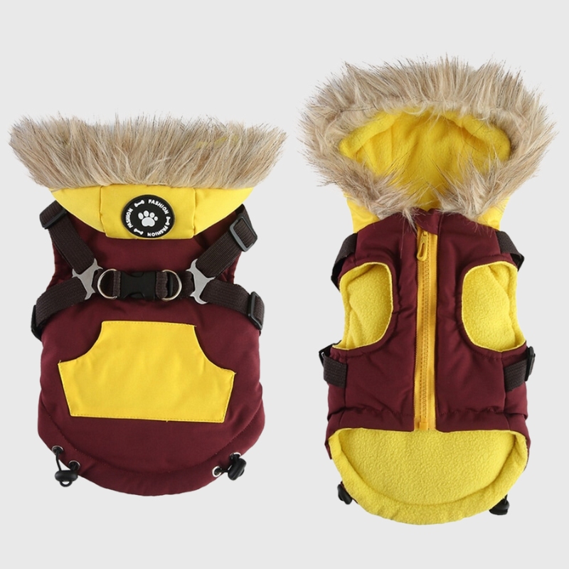 Manteau avec capuche pour chien avec harnais integre devant et derriere du manteau