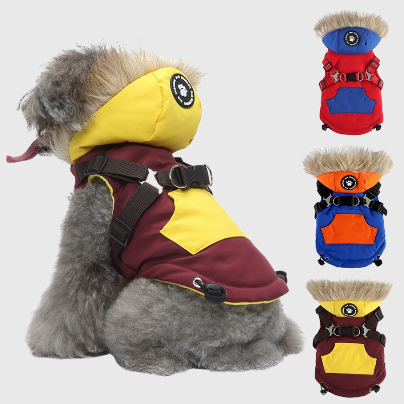 Manteau Avec Capuche Pour Chien Avec Harnais Integre Paradis Chien Boutique Chien Paradis Chien
