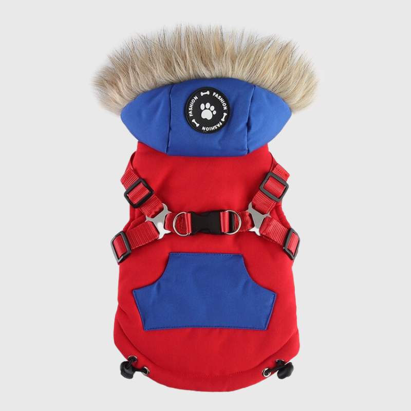 Manteau avec capuche pour chien avec harnais intégré rouge et bleu