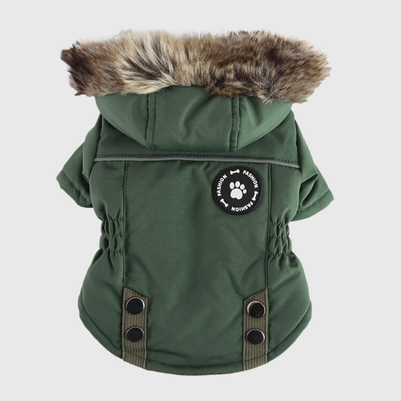 Manteau avec capuche pour chien avec harnais intégré vert