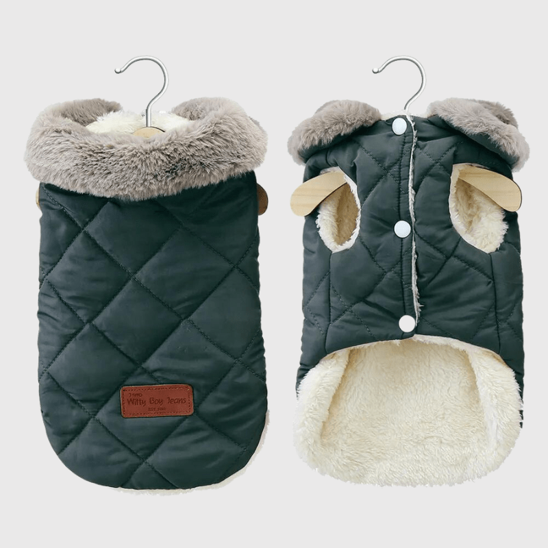 Déstockage d’Hiver ❄️ -50% sur nos pulls & manteaux pour chien