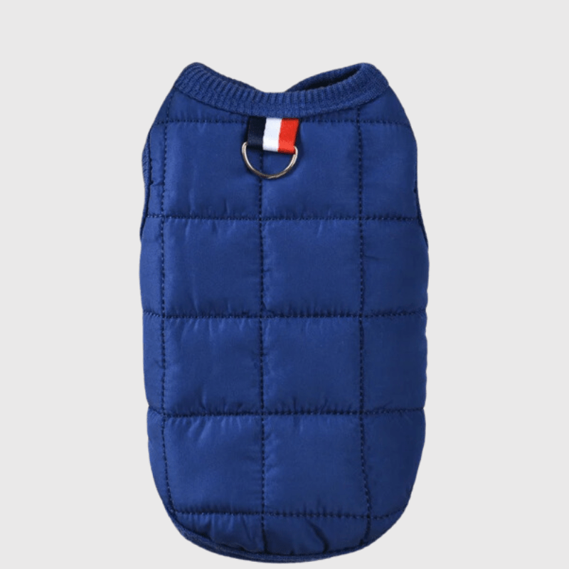 Manteau pour chien en laine bleu