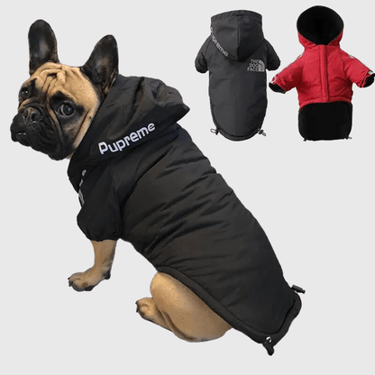 Manteau pour chien grand froid bouledogue