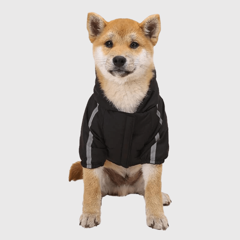 Manteau pour chien grand froid shiba