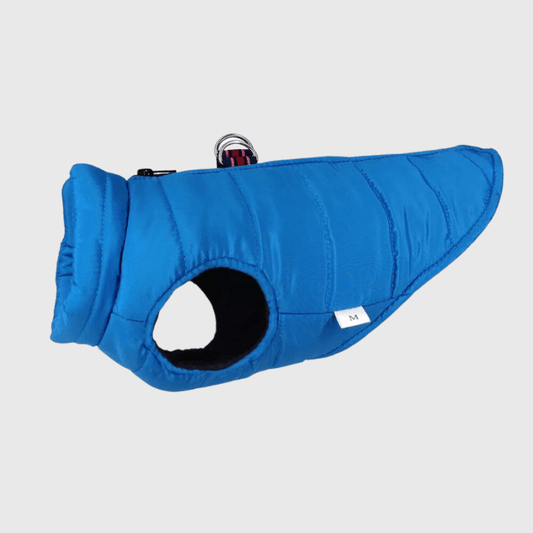 Manteau pour chien impermeable bleu