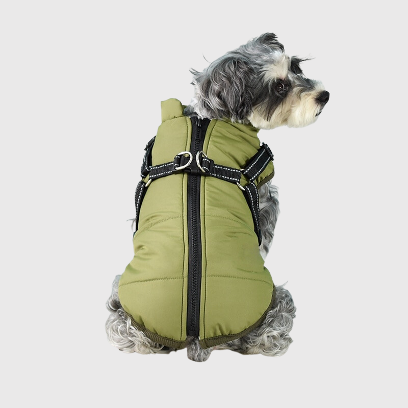 Manteau pour chien pour l hiver avec harnais integre