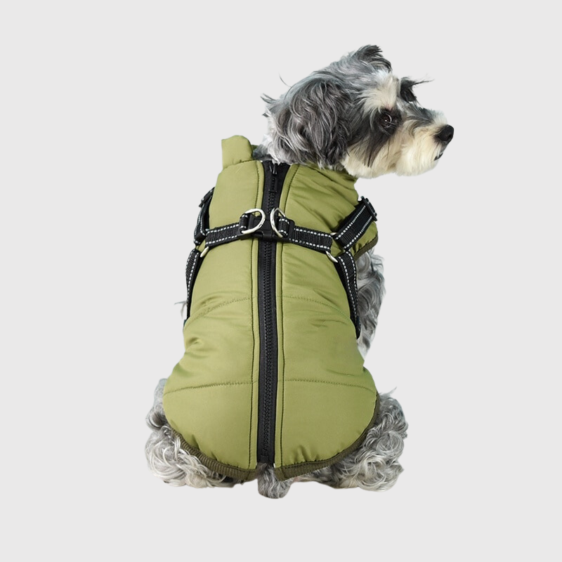 Manteau pour chien pour l'hiver avec harnais intégré modele vert sur chien 