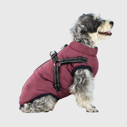 Manteau Pour Chien Pour L Hiver Avec Harnais Integre Paradis Chien Boutique Chien Paradis Chien
