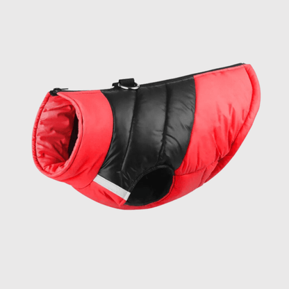 Manteau pour grand chien