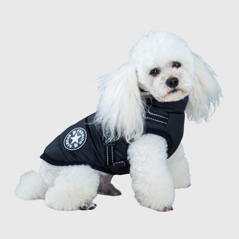 Manteau pour petit chien avec harnais integre modele chien blanc
