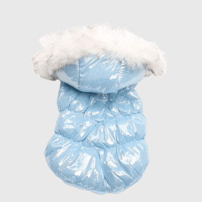 Vestito Per Chihuahua - Maglione E Giacca Invernale Per Cani Piccoli, 6 Taglie E Colori - Foto 11