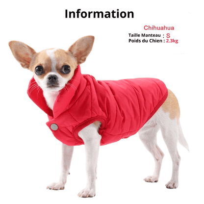 Manteau pour petit chien info chien