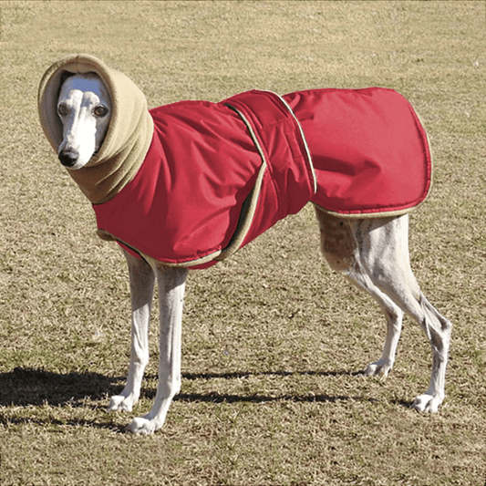 Manteau wouapy pour chien rouge
