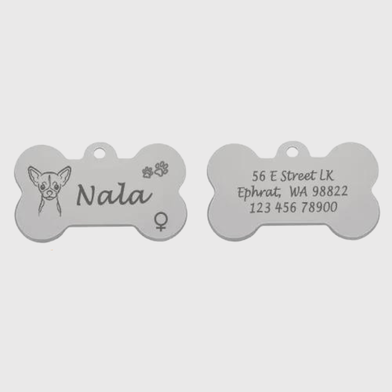 Medaille chien originale​ patte de chien gris
