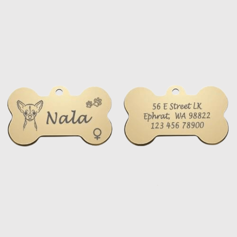Medaille chien originale​ patte de chien or 