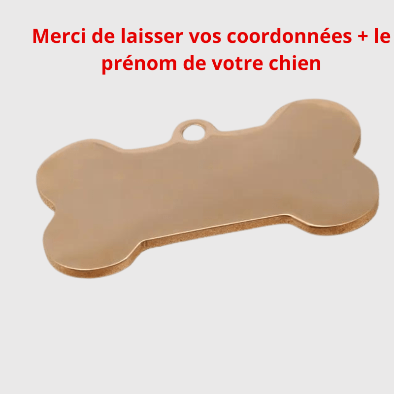 Medaille chien originale​ info