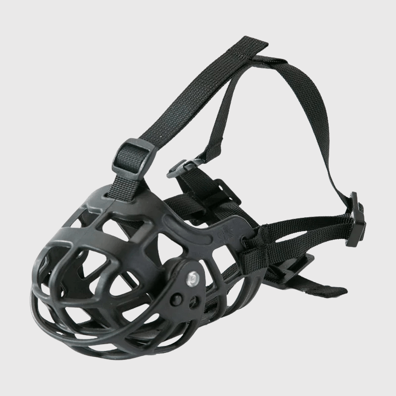 Museliere Malinois modele