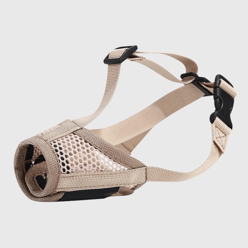 Muselière pratique et sûre, la muselière pour chien 
